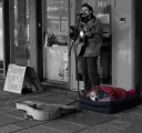 busker-dog.jpg